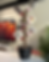 Captura de pantalla 2025-08-20 161234.png