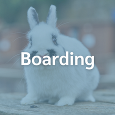 Boarding.png