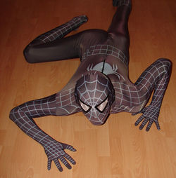 Spidy_dark_24.jpg