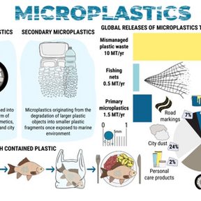 Microplastics and Plastic-Degrading Bacteria: A Microbial Solution to Global Pollution