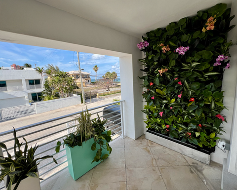 Balcony Living Green Wall, green wall Fort Lauderdale, Fort Lauderdale vertical garden, living green wall in Fort Lauderdale