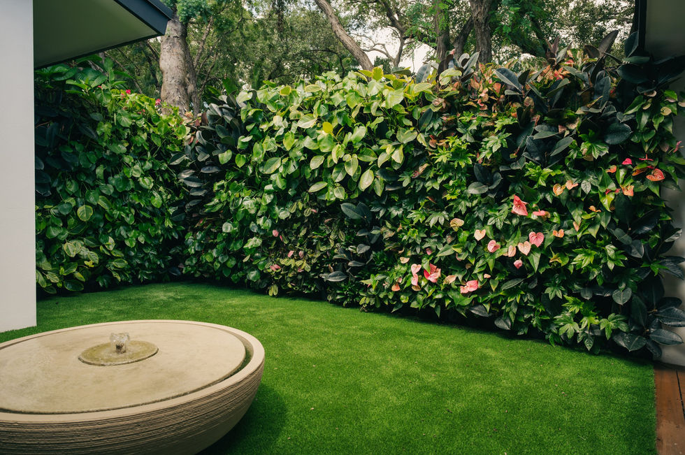 Coral Gables green walls, Living green wall Coral Gables