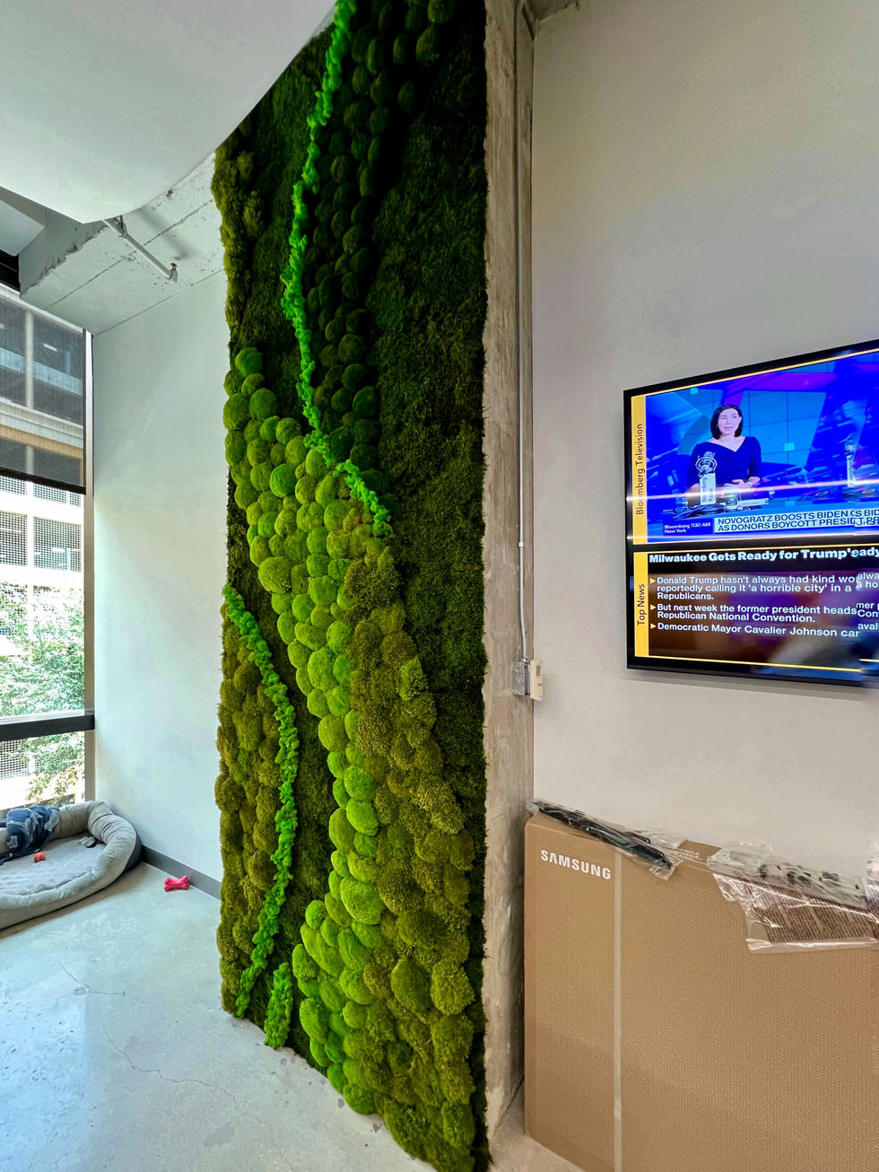 Moss wall décor for offices and homes embracing biophilic design trends