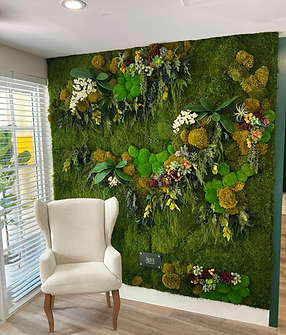 Preserved Moss Wall Coral Gables