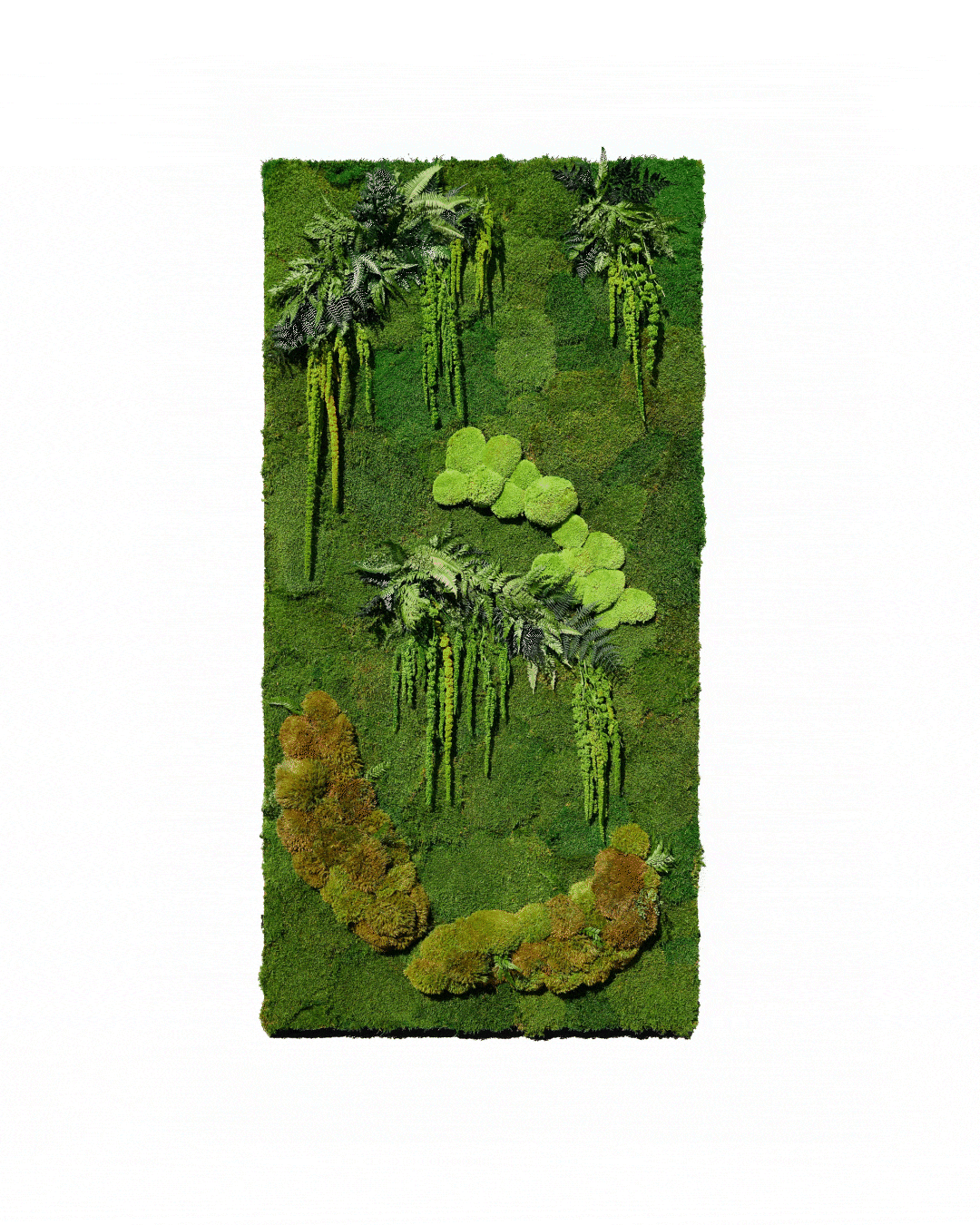 Moss Backdrop Rental