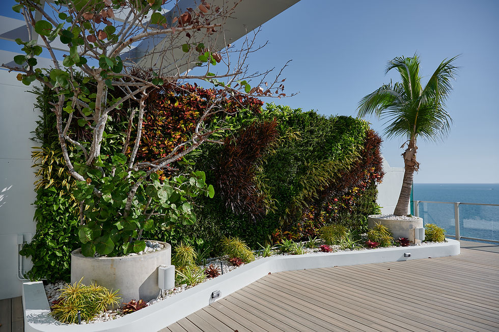 Everything You Need to Know About a Living Green Wall