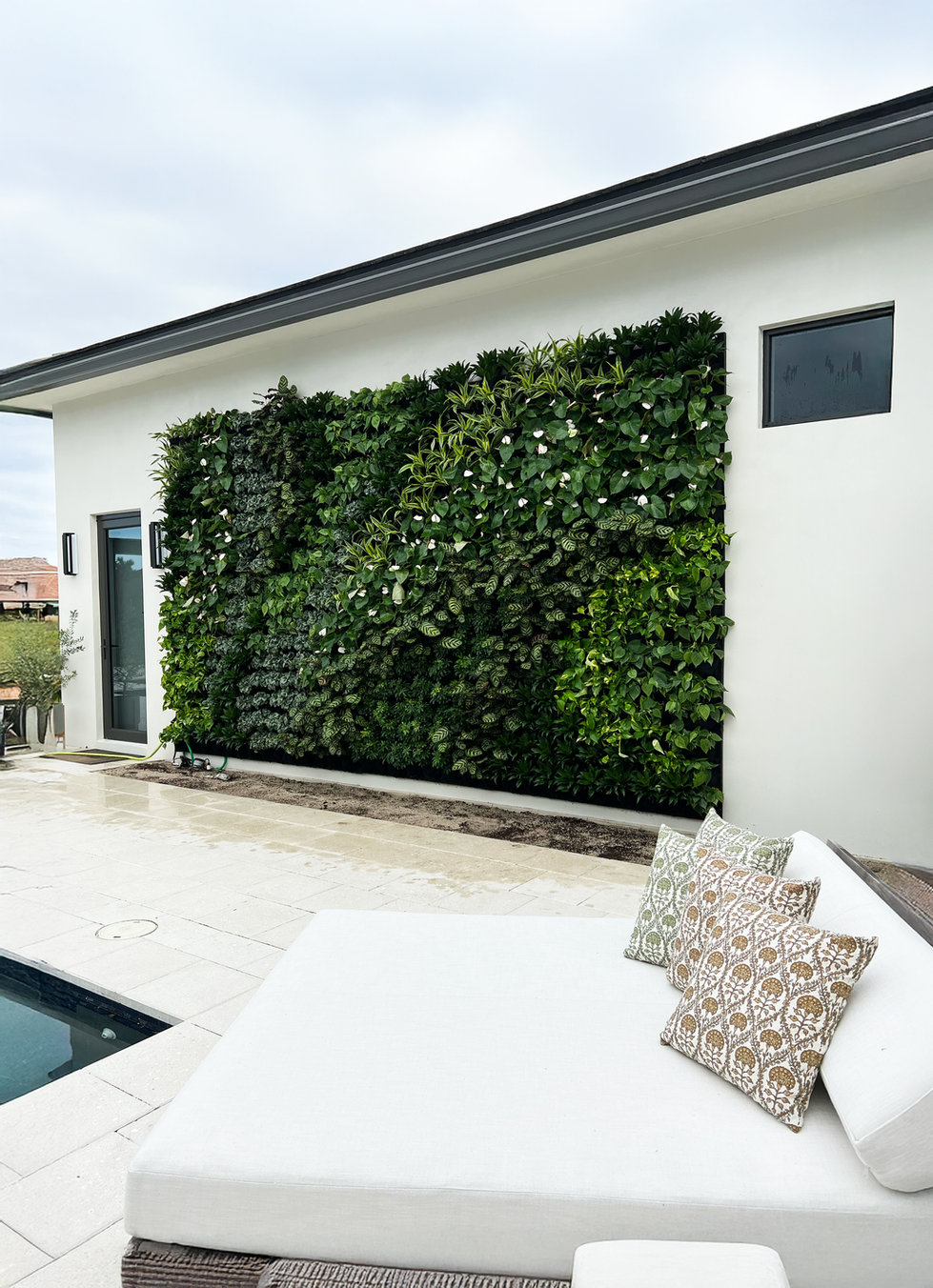 living green wall near swimming pool, poolside vertical garden, green wall by the pool, tropical wall garden next to pool, lush plant wall near water, backyard pool greenery wall, vertical garden poolside design, West Palm Beach pool green wall, relaxing plant wall by pool, modern garden wall near swimming pool, stylish green backdrop for pool, eco-friendly wall garden next to pool, privacy green wall for pool area, decorative vertical garden near pool, heat-tolerant plant wall by pool