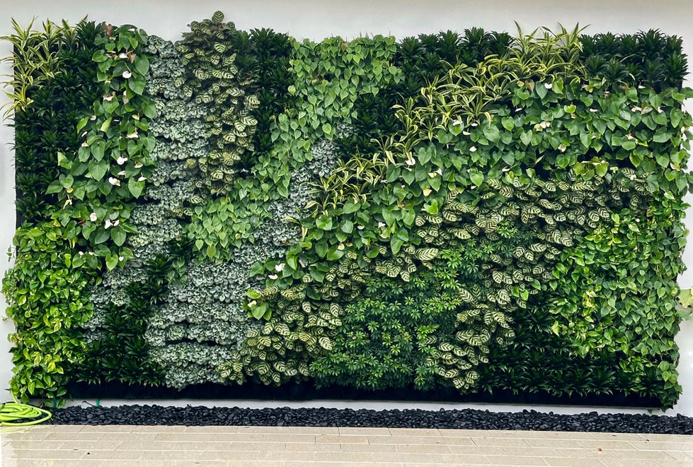 living green wall near swimming pool, poolside vertical garden, green wall by the pool, tropical wall garden next to pool, lush plant wall near water, backyard pool greenery wall, vertical garden poolside design, West Palm Beach pool green wall, relaxing plant wall by pool, modern garden wall near swimming pool, stylish green backdrop for pool, eco-friendly wall garden next to pool, privacy green wall for pool area, decorative vertical garden near pool, heat-tolerant plant wall by pool