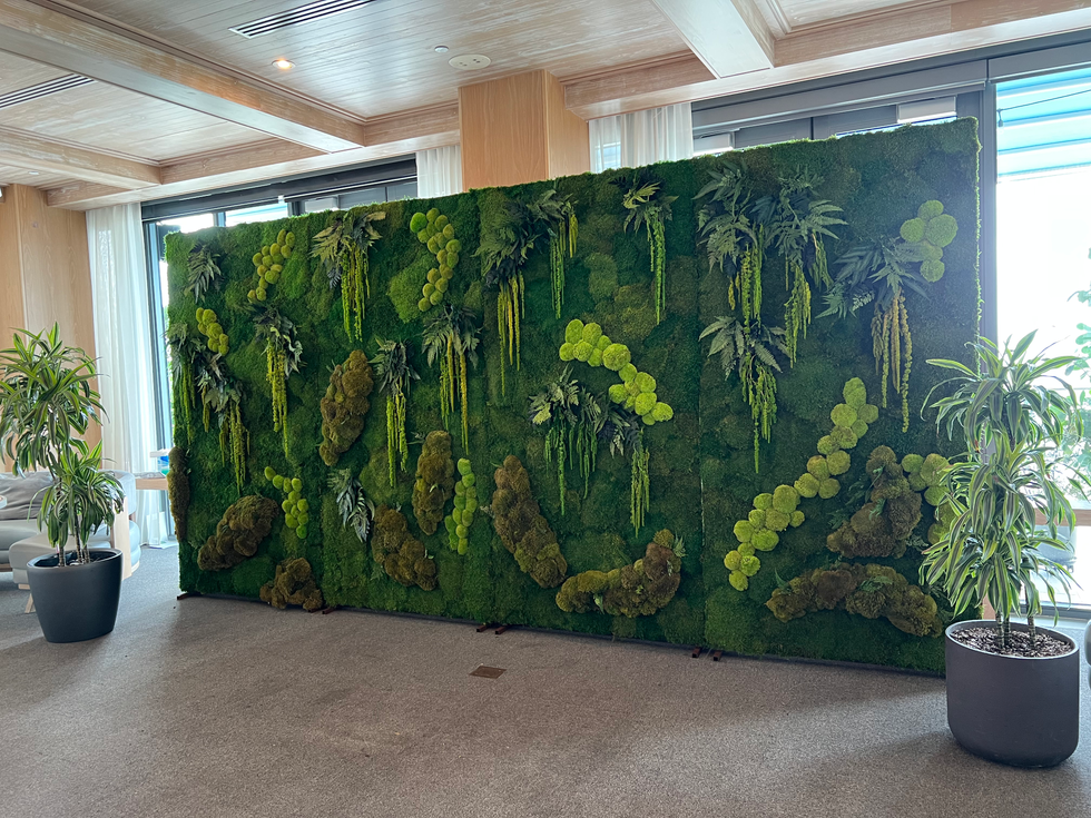 Natural preserved moss feature wall enhancing wellness-inspired interiors.