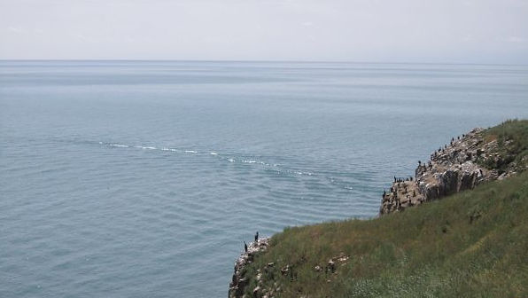 苗圃鎮洋單車助學行2010 –『青海湖之旅』043.jpg