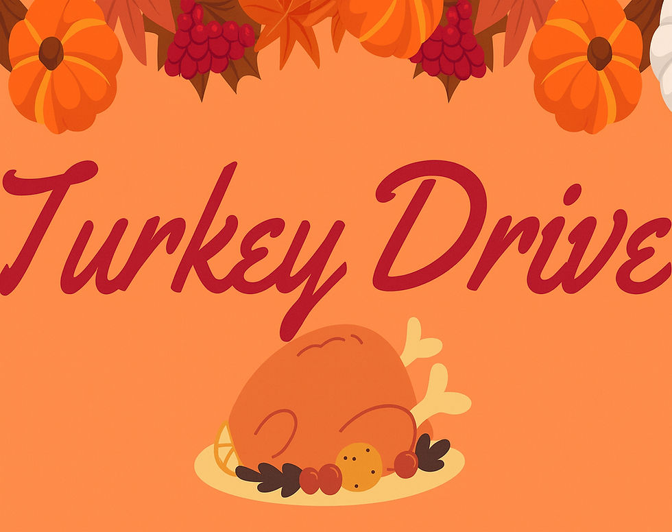 Turkey Drive