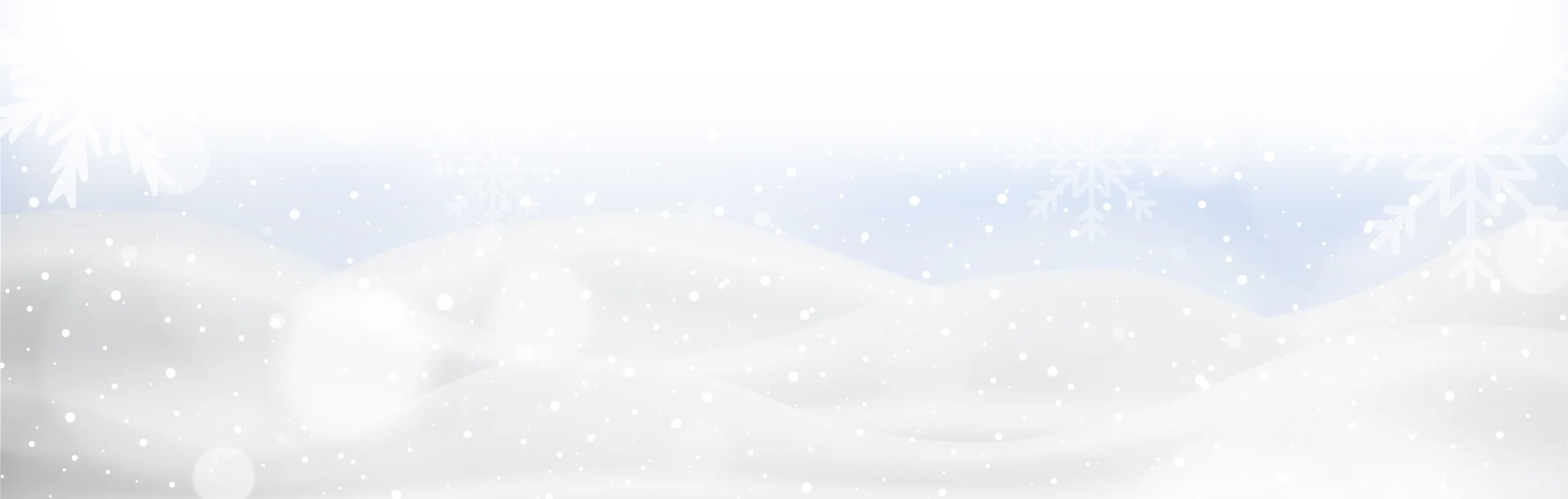 base_nieve.webp