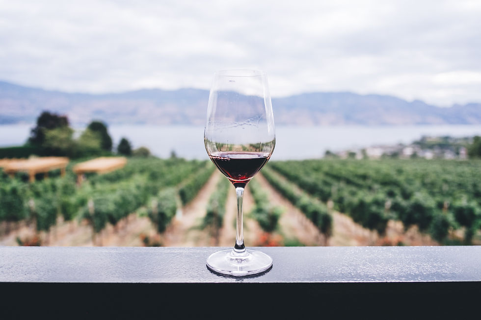 Red Wine in a Vineyard