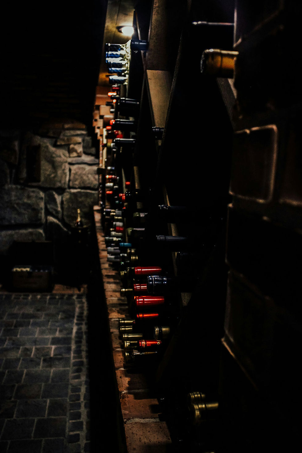 Dimly lit wine cellar with rows of bottles stored horizontally, symbolizing curated wine collections and investment libraries