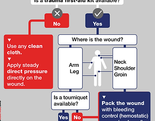 StoptheBleedFlowchart.thumb.png