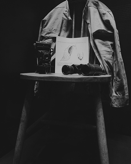 DIGITAL DAISY FEED (NEW SIZE) (1).png