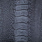 Ostrich Gray Matte Exterior.jpg