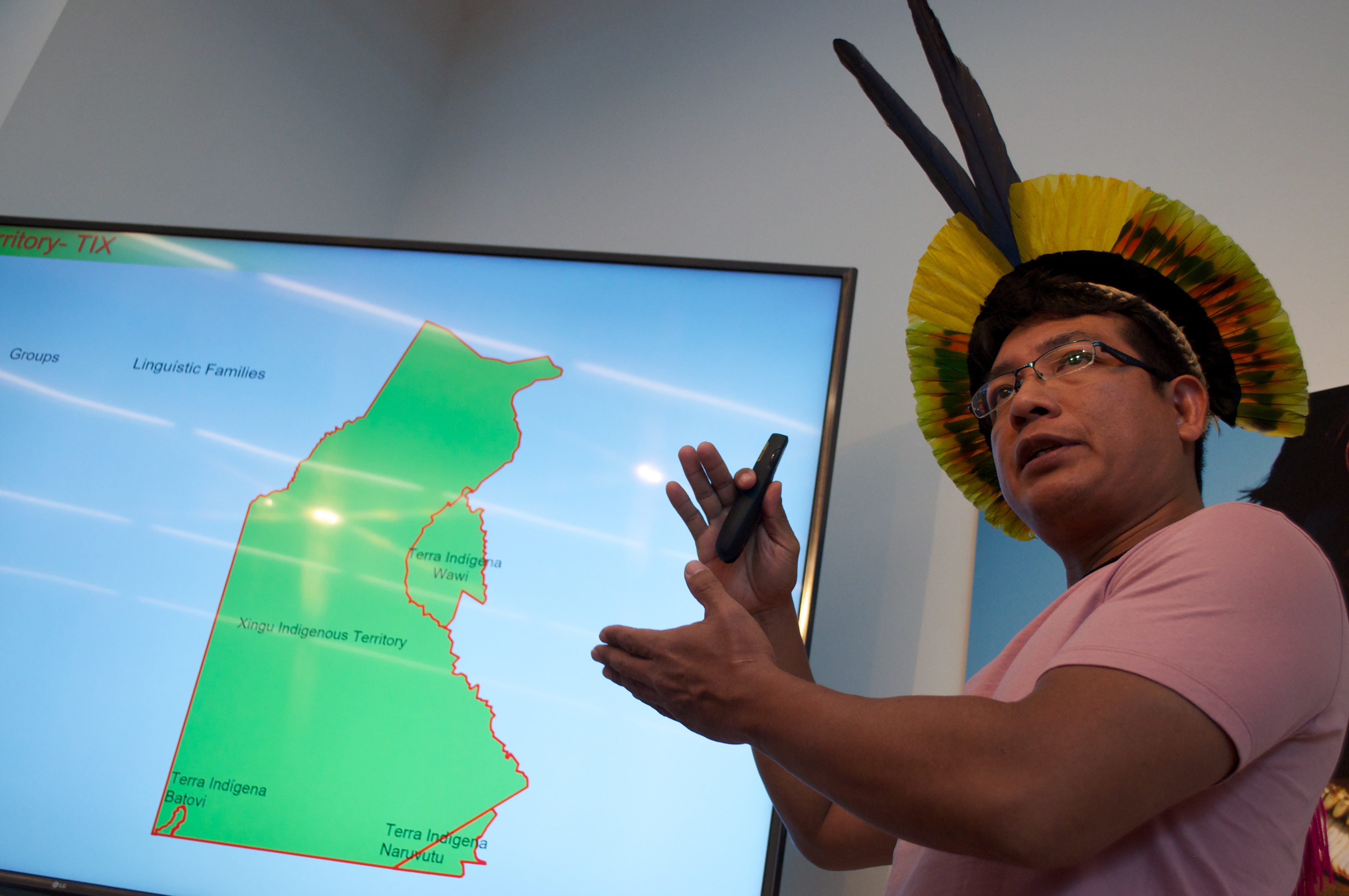 Saving the Amazon Rainforest