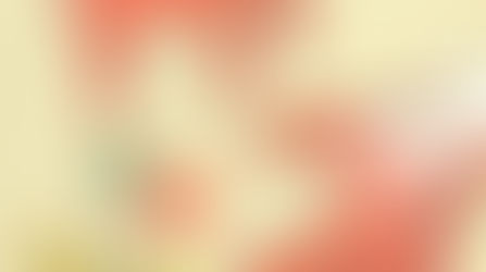 Capítulo III | Especialidade (1ªParte)