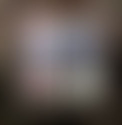 Capítulo XIX | O Segundo Ano de Comissão (2ªParte)