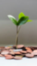 micheile-henderson-lZ_4nPFKcV8-unsplash_edited.jpg