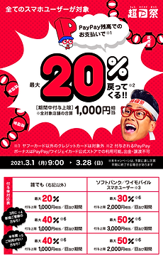 paypayキャンペーン.png