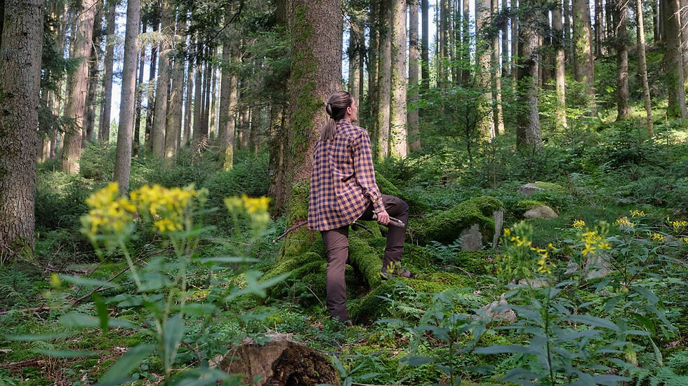 Silent Woods Überlebenstraining in Deutschland