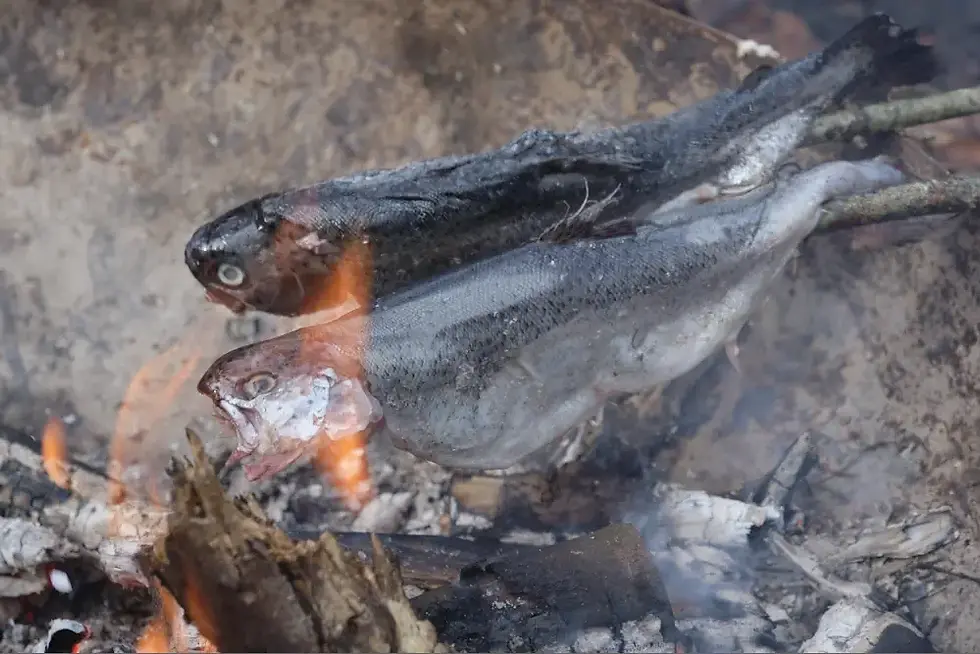 Forellen sind eine wertvolle tierische Notnahrung