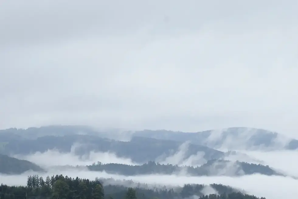 Überlebenstraining im Schwarzwald