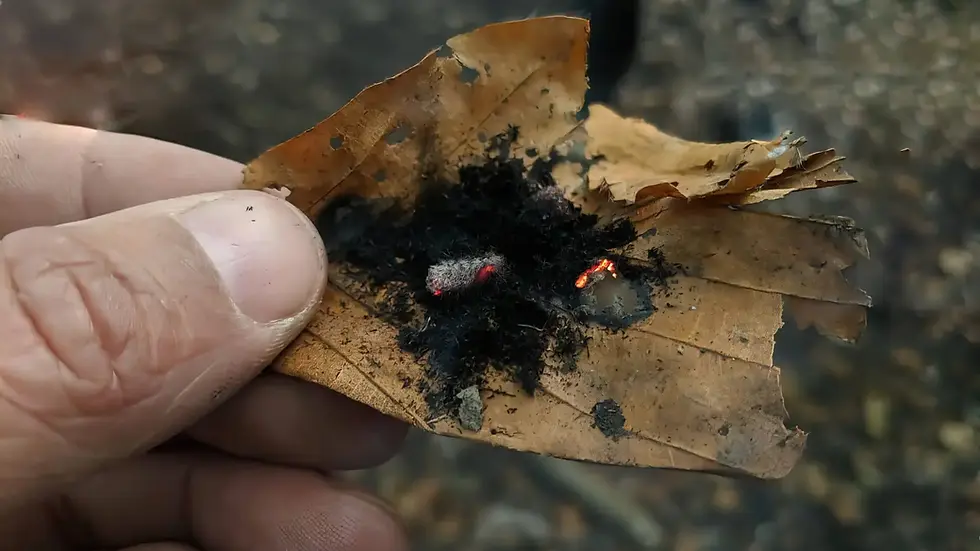 Überleben in der Wildnis beim Survival Camp im Schwarzwald