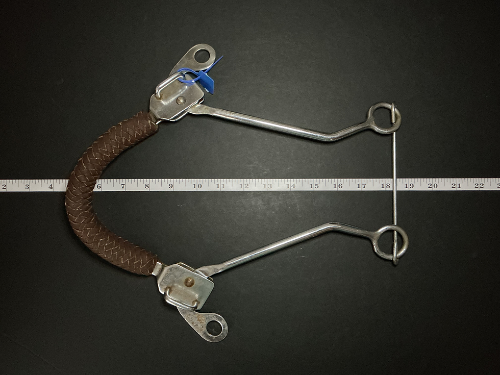 Thumbnail: Mechanical Hackamore