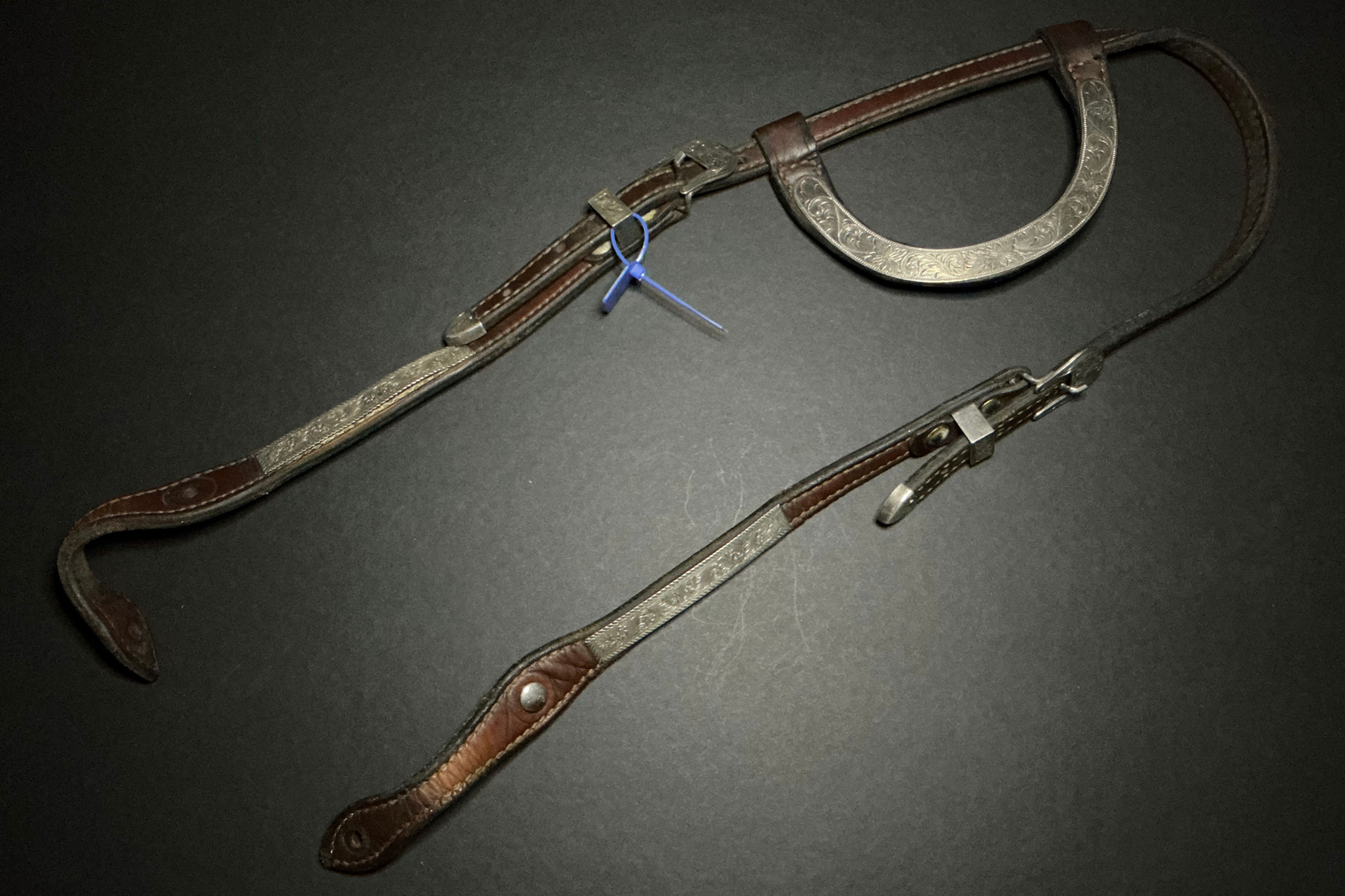 Horse/Standard Single-Ear Western Show Headstall