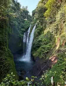 A majestic and lush waterfall nestled in a verdant tropical forest, with water cascading powerfully into a serene pool below, surrounded by the rich greenery that typifies a tranquil natural paradise.