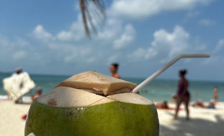 A fresh green coconut held up against a tropical beach backdrop, symbolizing exotic vacations and the refreshing taste of natural beverages enjoyed in seaside destinations