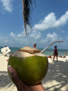 A fresh green coconut held up against a tropical beach backdrop, symbolizing exotic vacations and the refreshing taste of natural beverages enjoyed in seaside destinations