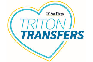 Triton Transfers Website