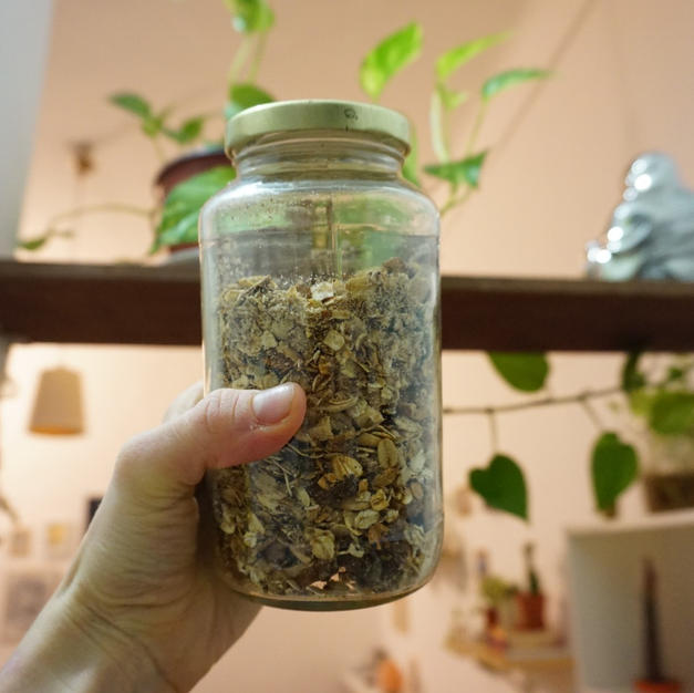 {Blog Post} 10 Minute Delicious Recipe for Homemade Granola (Vegan & GF)