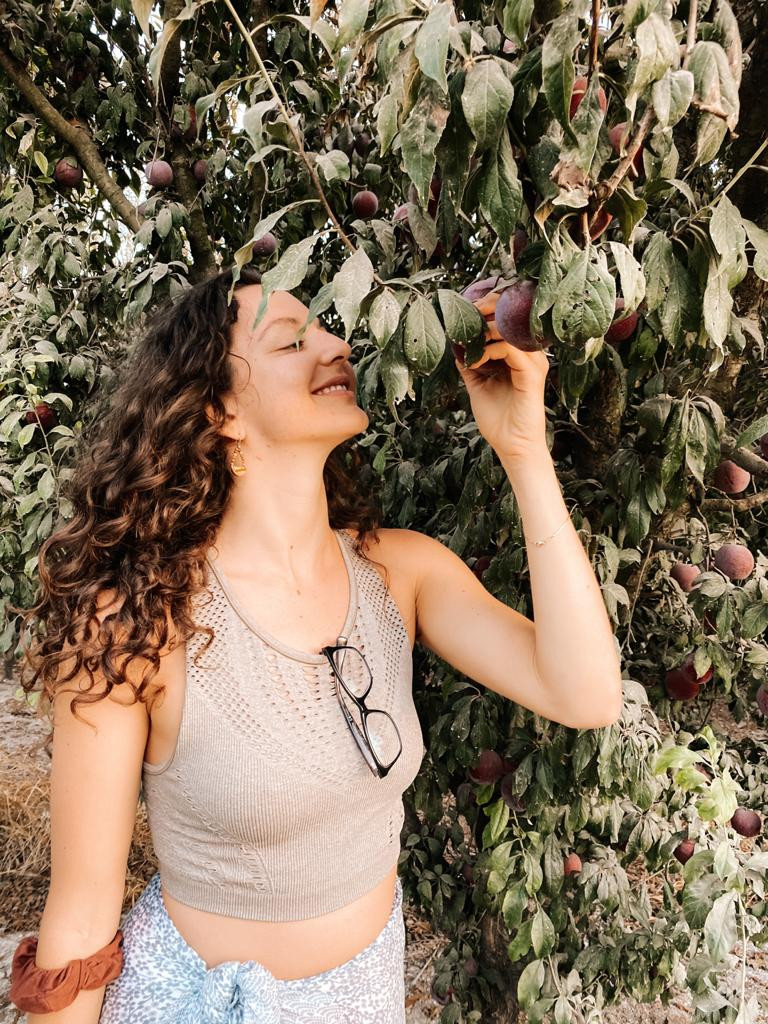 3 Big Reasons to Buy Organic and Local Produce
