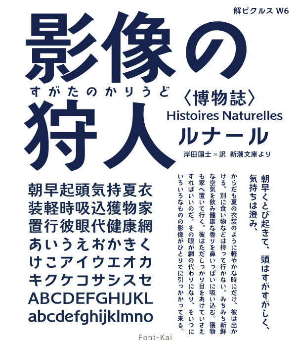 サムネイル： 解ピクルス W6