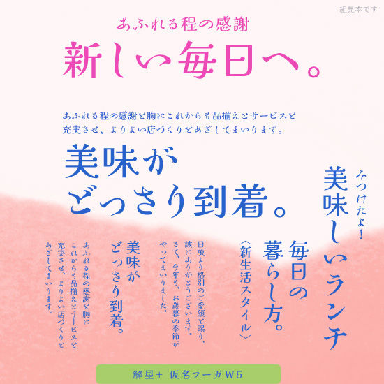 サムネイル： 解仮名- フーガ Set-kaisei