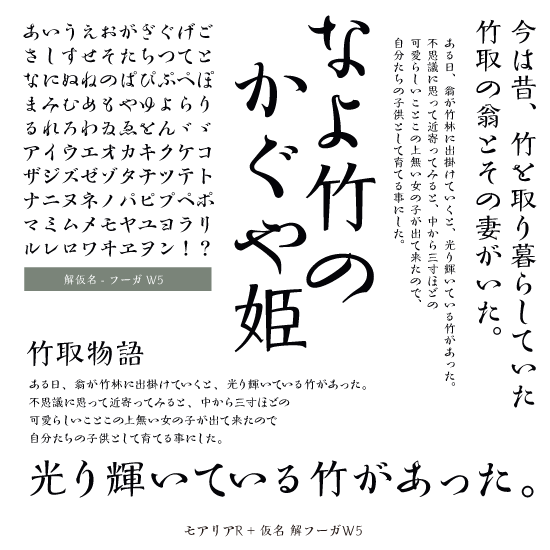 サムネイル： 解仮名- フーガ W5