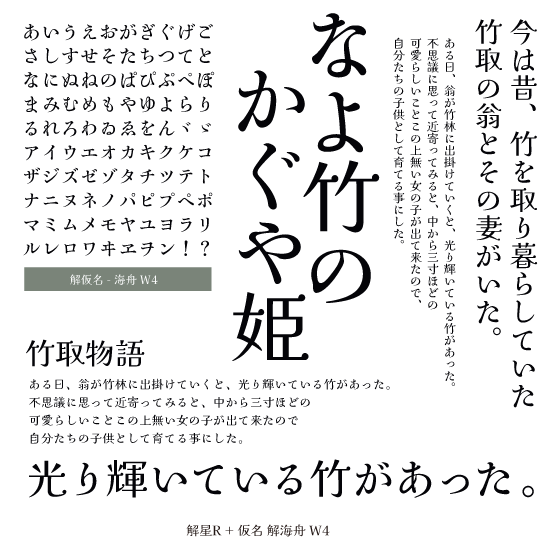 サムネイル： 解仮名- 海舟 W4