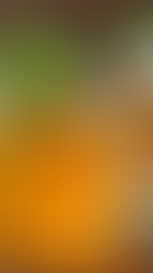 Exploring Honey Shrubs as a Healthy Alternative to Refined Sugar Drinks