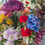 Thumbnail: Juliette : Bouquet of fresh, colorful flowers (Medium size)