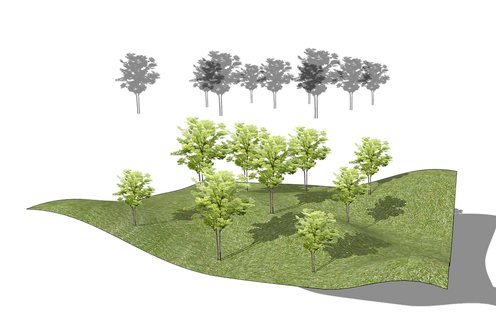 Arbres végétations dans sketchup, composant face caméra