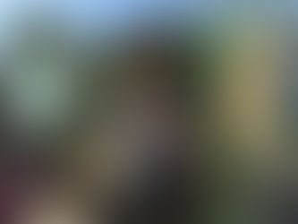 3.000 Kilometer für die Hilfe – Zweite Ukrainefahrt unseres Pressesprechers