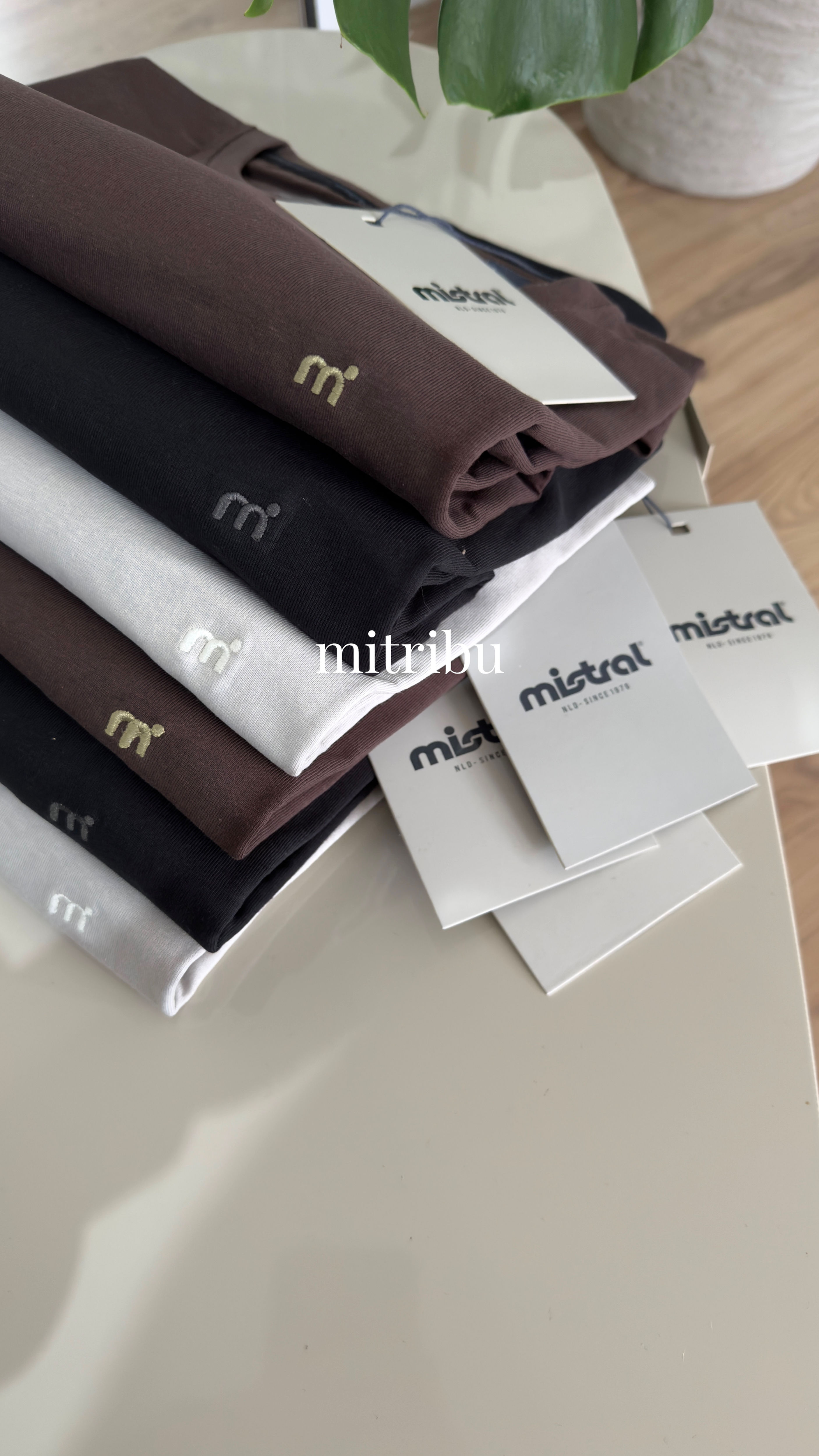 Remera Manga larga mistral algodón 