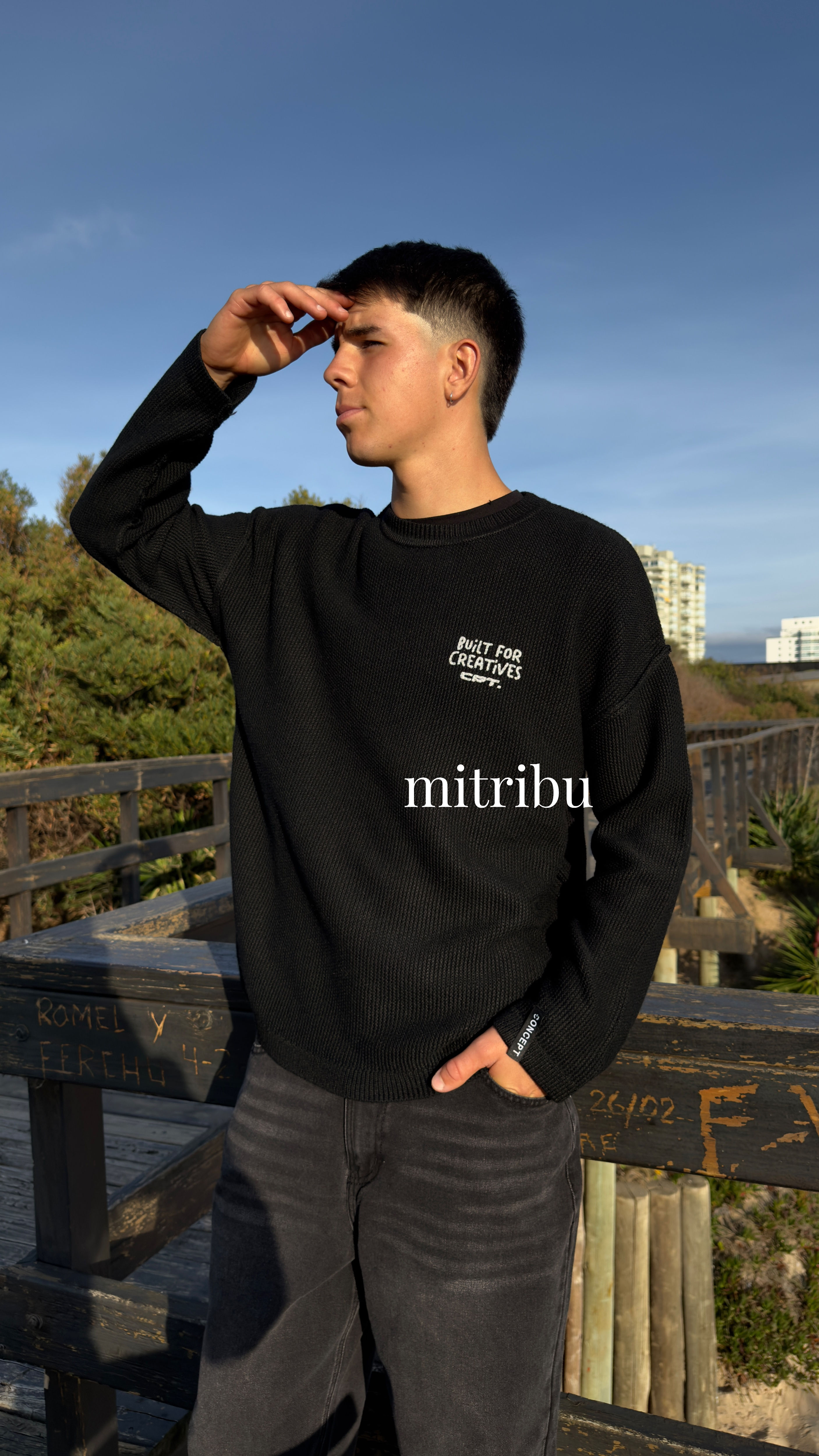 Sweater timo concept 
