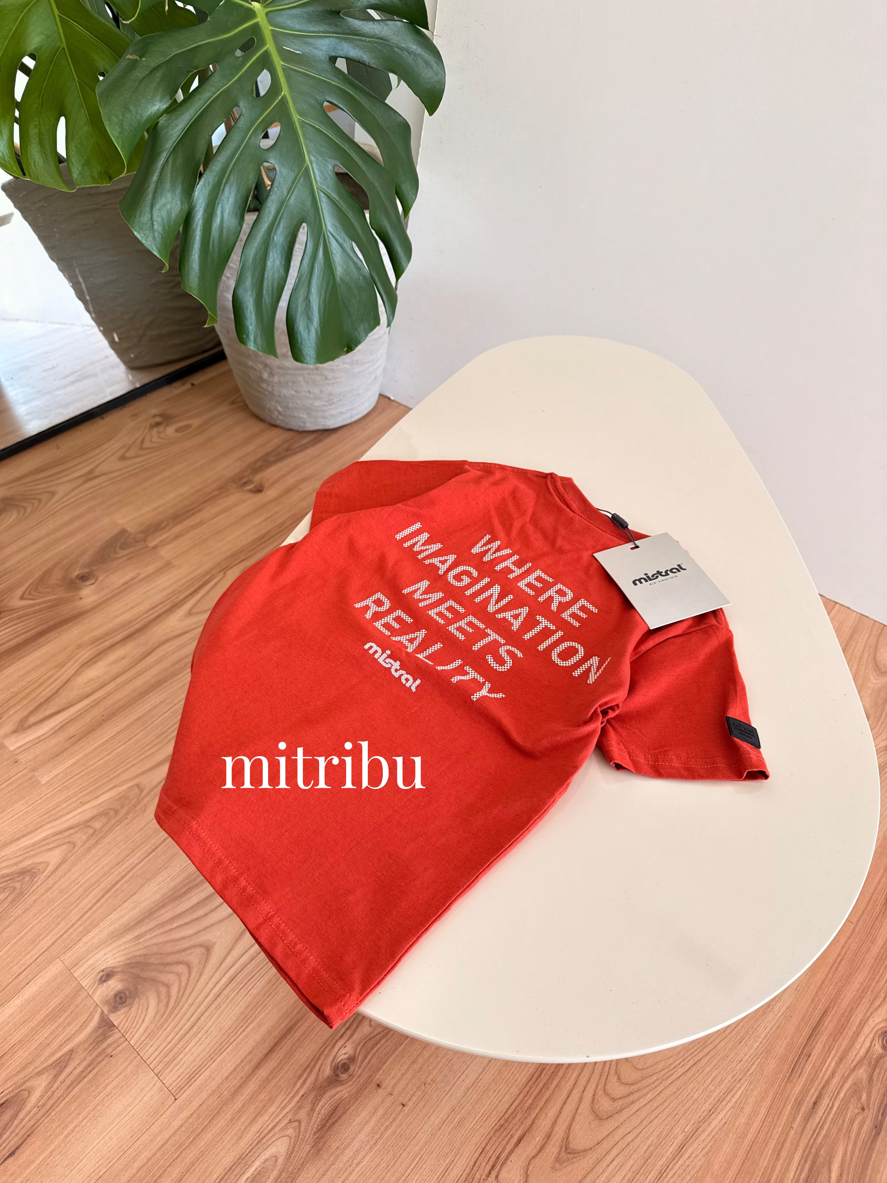 Remera mistral gerlik | 8 a 16