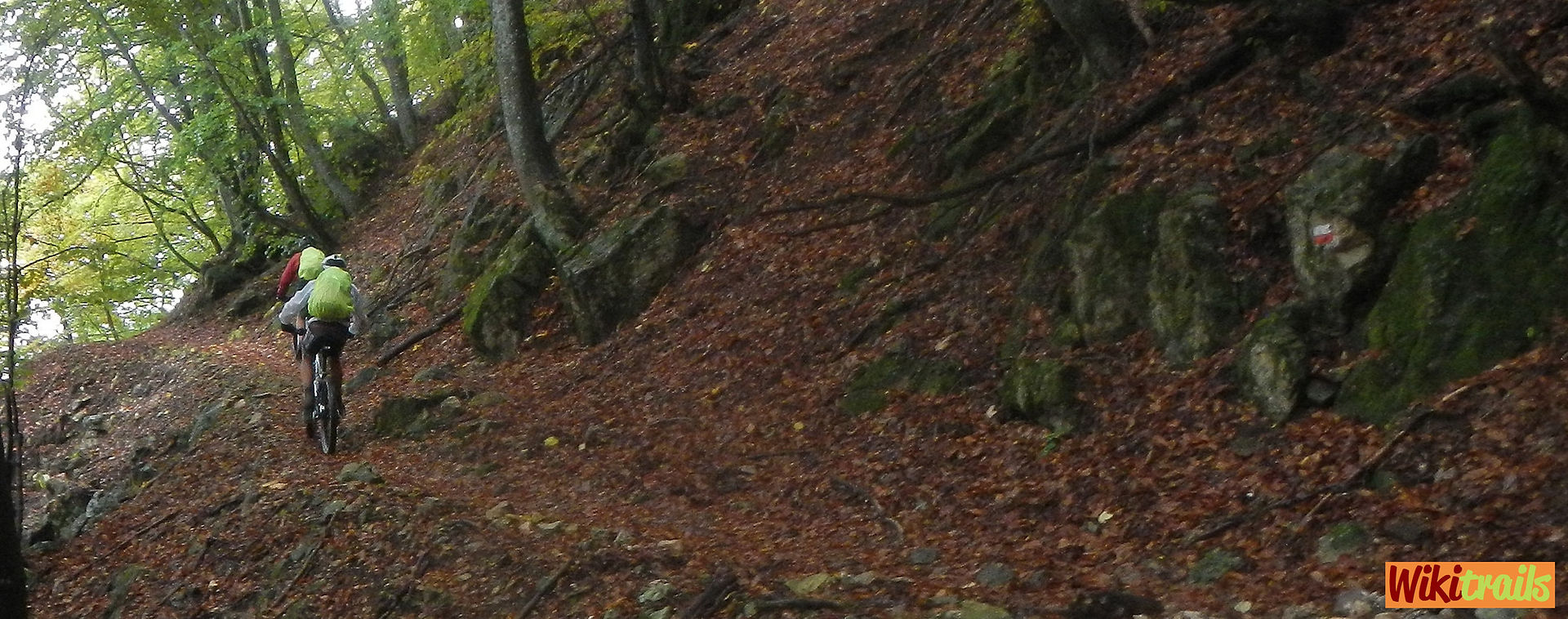 DSCN1663